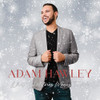 HAWLEY,ADAM - WHAT CHRISTMAS MEANS TO ME CD