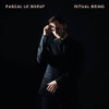 BOEUF,PASCAL LE - RITUAL BEING CD