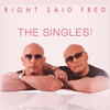 RIGHT SAID FRED - SINGLES CD