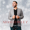 HAWLEY,ADAM - WHAT CHRISTMAS MEANS TO ME VINYL LP