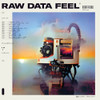 EVERYTHING EVERYTHING - RAW DATA FEEL VINYL LP