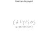 DE GREGORI,FRANCESCO - CALYPSOS VINYL LP