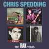 SPEDDING,CHRIS - RAK YEARS CD