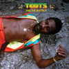 TOOTS & THE MAYTALS - PRESSURE DROP - THE GOLDEN TRACKS CD