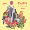 KALETA & SUPER YAMBA BAND / BOSQ - JIBITI (BOSQ REMIX) 7"