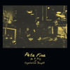 FINE,PETE - ON A DAY OF CRYSTALLINE THOUGHT VINYL LP