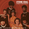 STONE SOUL - ORIGINS OF SLY & FAMILY STONE / VAR - STONE SOUL - ORIGINS OF SLY & FAMILY STONE / VAR VINYL LP