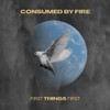 CONSUMED BY FIRE - FIRST THINGS FIRST CD