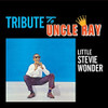 WONDER,STEVIE - TRIBUTE TO UNCLE RAY / JAZZ SOUL OF LITTLE STEVIE CD