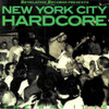 NEW YORK CITY HARDCORE / VARIOUS - NEW YORK CITY HARDCORE / VARIOUS VINYL LP