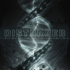 DISTURBED - EVOLUTION VINYL LP