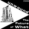 UNWOUND - FUTURE OF WHAT VINYL LP