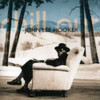 HOOKER,JOHN LEE - CHILL OUT CD