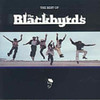 BLACKBYRDS - BEST OF BLACKBYRDS CD