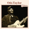 TAYLOR,OTIS - OTIS TAYLOR COLLECTION CD