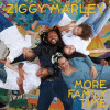 MARLEY,ZIGGY - MORE FAMILY TIME VINYL LP