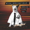 SPRINGFIELD,RICK - WORKING CLASS DOG - 40TH ANNIV. SPECIAL CD