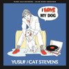 YUSUF ( STEVENS,CAT ) - I LOVE MY DOG / MATTHEW & SON 7"