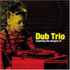 DUB TRIO - EXPLORING THE DANGERS OF VINYL LP