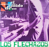 LOS FLECHAZOS - EL SORPRENDENTE SONIDO DE VINYL LP