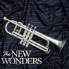 NEW WONDERS - NEW WONDERS VINYL LP