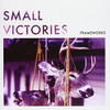 FRAMEWORKS - SMALL VICTORIES 7"