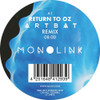 MONOLINK - REMIXES 12"