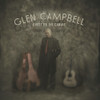 CAMPBELL,GLEN - GHOST ON THE CANVAS VINYL LP