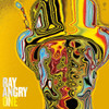 ANGRY,RAY - RAY ANGRY ONE VINYL LP