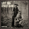 LOST DOG STREET - SURVIVED VINYL LP