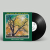 FAMILY TREE - WE SHALL SEE HIM AS HE IS VINYL LP