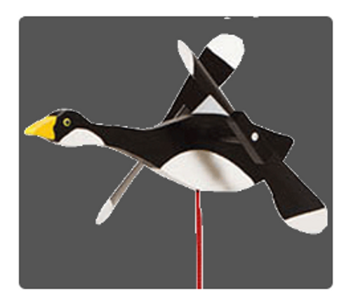 Canadian Goose Whirlybird