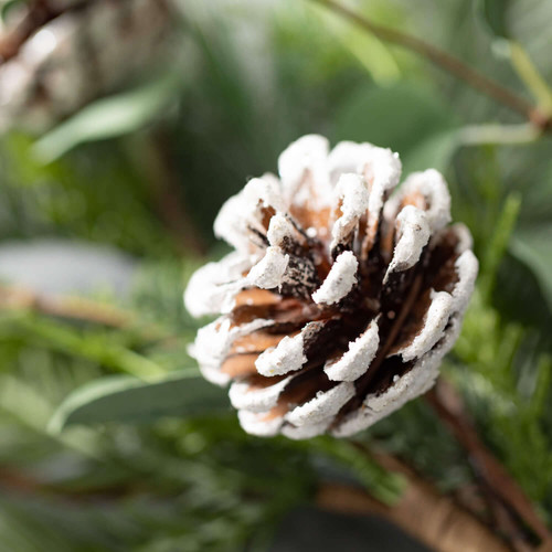 Pine and Eucalytpus Ring 