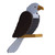 Amish handcrafted wooden bird feeder - eagle