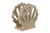 Sea Quest Collection Poly Napkin Holder - Seashell in Birchwood