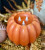 Orange Pumpkin Carved Moving Flame LED Candle - Large -3 Wick