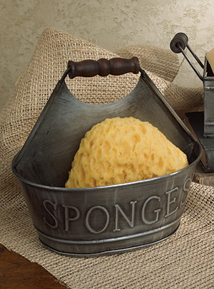 Lil' Sponge Holder