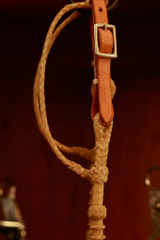 Double Ear Headstall - Rawhide