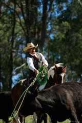 Synco Chaos Poly Ranch Rope - 4 strand 9.5mm (3/8")