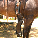 StretchTec Shoulder Relief  Western CINCH, Brown - Black neoprene liner