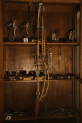 Demo Bridle Setup