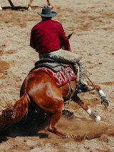 Oxford Western Shirt w/ Pearl Snaps - Red