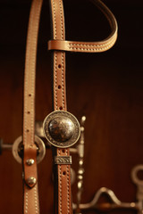 Single Ear Headstall w/ Spoon Hanger & Round Brooks Conchos #33