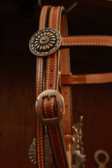 Headstall w/ JWP  Gallup Conchos - Light Oil #24