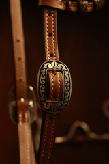 Single Ear Headstall w/ JWP Concho - #1