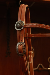 Headstall w/ JWP Concho - #2