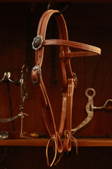 Headstall w/ JWP Concho - #2