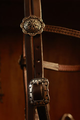 Headstall w/ JWP Concho - #21