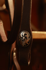 Headstall w/ JWP Concho - #21