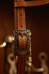 Single Ear Headstall w/ JWP Concho - #2